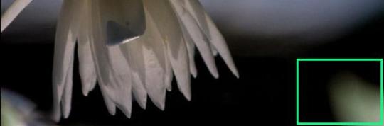 Post 86--Overcomng A-D