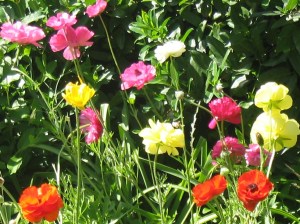 Post 132-breathe-in unison