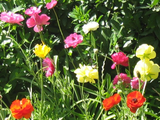 Post 132-breathe-in unison