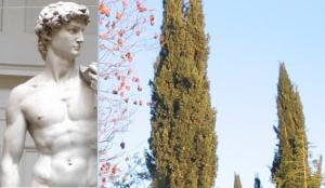David statue-trees