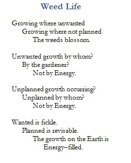 Weed Life